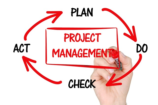 Project Management: Finding Solutions to Your Failing Project